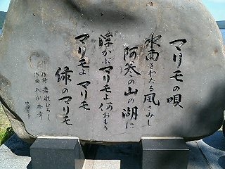 マリモの唄